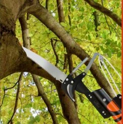Gardebruk Takkenzaag Telescopisch - 2in1 Zaag & Snoeischaar - Oranje -Tuingereedschaps Winkel 1189x1200 2