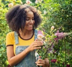 GARDENA - ExpertCut - Snoeischaar - 22 Diameter Tak -Tuingereedschaps Winkel 1200x1122