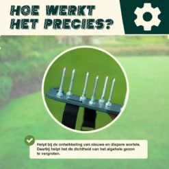 Merkloos Gazonbeluchtingssandalen Premium - Gazonbeluchter - Beluchter - Gazonverluchter - Gazonpriksandalen - Verticuteerroller - Graszaad - Gazonmest - Kerstcadeau - Voor Mannen - Voor Vrouwen - Cadeautjes- Vaderdag Cadeau- Geschenk- Cadeautjes 11 Merkloos Gazonbeluchtingssandalen Premium - Gazonbeluchter - Beluchter - Gazonverluchter - Gazonpriksandalen - Verticuteerroller - Graszaad - Gazonmest - Kerstcadeau - Voor Mannen - Voor Vrouwen - Cadeautjes- Vaderdag Cadeau- Geschenk- Cadeautjes -Tuingereedschaps Winkel 1200x1197