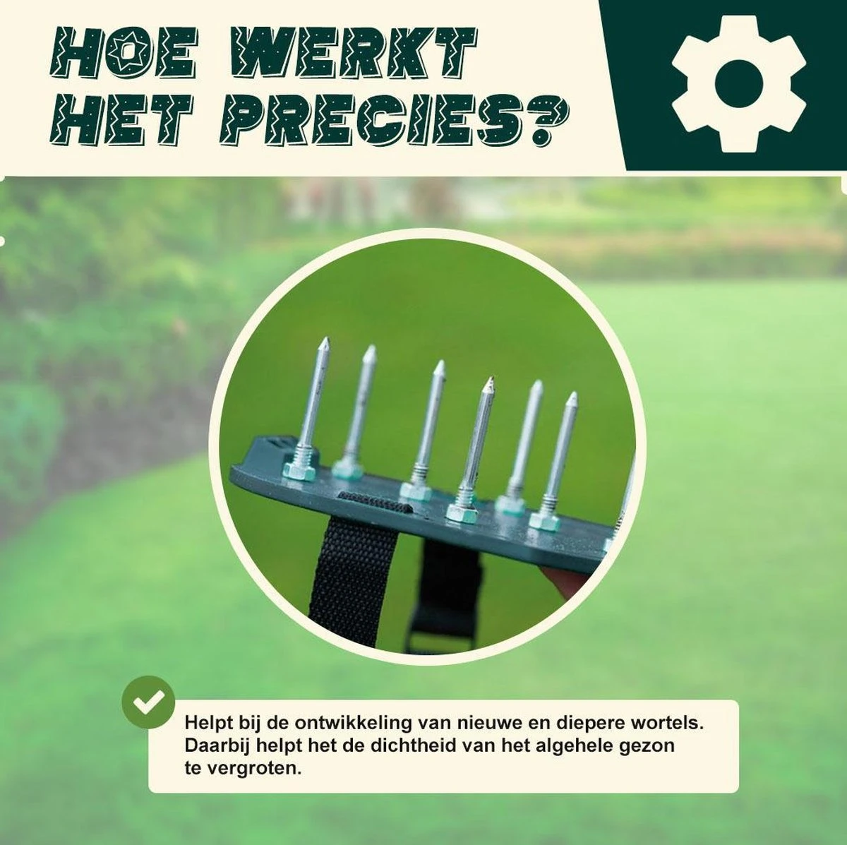 Merkloos Gazonbeluchtingssandalen Premium - Gazonbeluchter - Beluchter - Gazonverluchter - Gazonpriksandalen - Verticuteerroller - Graszaad - Gazonmest - Kerstcadeau - Voor Mannen - Voor Vrouwen - Cadeautjes- Vaderdag Cadeau- Geschenk- Cadeautjes 6 Merkloos Gazonbeluchtingssandalen Premium - Gazonbeluchter - Beluchter - Gazonverluchter - Gazonpriksandalen - Verticuteerroller - Graszaad - Gazonmest - Kerstcadeau - Voor Mannen - Voor Vrouwen - Cadeautjes- Vaderdag Cadeau- Geschenk- Cadeautjes - Afbeelding 4