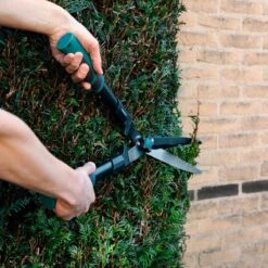 VONROC Snoeischaren Set / Snoeiset - 3-delig - Takkenschaar, Heggenschaar En Snoeischaar 15 VONROC Snoeischaren Set / Snoeiset - 3-delig - Takkenschaar, Heggenschaar En Snoeischaar -Tuingereedschaps Winkel 1200x1200 183