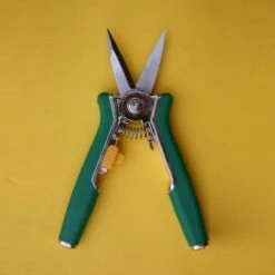 Bloemenschaar- Snoeischaar Recht Green Arrow 6238 -Tuingereedschaps Winkel 1200x1200 193