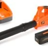 TIMBERPRO - Bladblazer Elektrisch 40V, ZEER Krachtig (incl. 4A Batterij En Incl. Lader) -Tuingereedschaps Winkel 1200x738