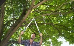 Gardena EasyCut Takkenschaar 68B + Classic Snoeischaar 8754 Display 1stuk 12003-30 20 Gardena EasyCut Takkenschaar 68B + Classic Snoeischaar 8754 Display 1stuk 12003-30 -Tuingereedschaps Winkel 1200x749 2