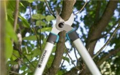 Gardena EasyCut Takkenschaar 68B + Classic Snoeischaar 8754 Display 1stuk 12003-30 17 Gardena EasyCut Takkenschaar 68B + Classic Snoeischaar 8754 Display 1stuk 12003-30 -Tuingereedschaps Winkel 1200x749