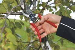 Felco 2 Snoeischaar - Rechtshandig - Max. Knipdiameter 25 Mm - Lengte 215 Mm -Tuingereedschaps Winkel 1200x796