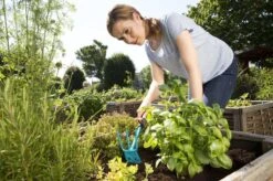 GARDENA Combisystem Tuinhak - Werkbreedte 6,5cm - 25 Jaar Garantie -Tuingereedschaps Winkel 1200x799 14