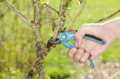 GARDENA Classic Aambeeld Snoeischaar - Ø 18 Mm 9 GARDENA Classic Aambeeld Snoeischaar - Ø 18 Mm -Tuingereedschaps Winkel 1200x799 42