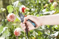 GARDENA Comfort B/M Bypass Snoeischaar - Ø 24mm - Met Sapgeul -Tuingereedschaps Winkel 1200x799 52