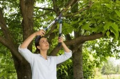 Gardena EasyCut 500 Takkenschaar -Tuingereedschaps Winkel 1200x799 55