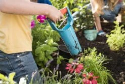 GARDENA Bollenplanter - Diepteaanduiding - Automatische Aardeloslating -Tuingereedschaps Winkel 1200x800 1