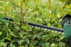 Bosch UniversalHedgeCut 18-50 Heggenschaar - Met 18 V Accu En Lader 17 Bosch UniversalHedgeCut 18-50 Heggenschaar - Met 18 V Accu En Lader -Tuingereedschaps Winkel 1200x800 100