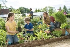 GARDENA Combisystem Bladharkje - Werkbreedte 12 Cm - 25 Jaar Garantie -Tuingereedschaps Winkel 1200x800 2