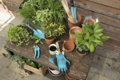 GARDENA - City Gardening - Onkruidsteker -Tuingereedschaps Winkel 1200x800 218