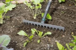 Gardena NatureLine Hark | 36 Cm | FSC 100% - 17106-20 -Tuingereedschaps Winkel 1200x800