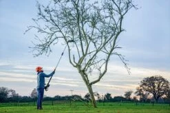 Bosch UniversalHedgePole 18 Heggenschaar Op Steel - Met 18 V Accu En Lader 28 Bosch UniversalHedgePole 18 Heggenschaar Op Steel - Met 18 V Accu En Lader -Tuingereedschaps Winkel 1200x800 32