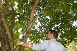 Gardena TeleCut Takkenschaar 650-900 B - Uitschuifbare Armen - Tot Max 90 Cm 21 Gardena TeleCut Takkenschaar 650-900 B - Uitschuifbare Armen - Tot Max 90 Cm -Tuingereedschaps Winkel 1200x800 37