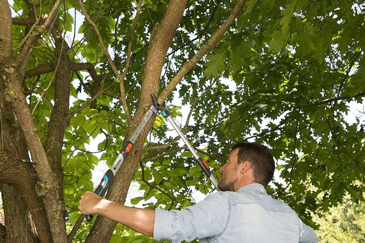 Gardena TeleCut Takkenschaar 650-900 B - Uitschuifbare Armen - Tot Max 90 Cm 8 Gardena TeleCut Takkenschaar 650-900 B - Uitschuifbare Armen - Tot Max 90 Cm - Afbeelding 6