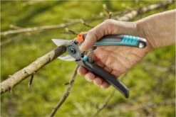 GARDENA - ExpertCut - Snoeischaar - 22 Diameter Tak -Tuingereedschaps Winkel 1200x800 43