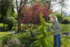 GARDENA PrecisionCut Buxusschaar - Meslengte 18 Cm - Vormsnoeien -Tuingereedschaps Winkel 1200x800 47