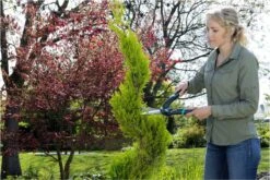 GARDENA PrecisionCut Buxusschaar - Meslengte 18 Cm - Vormsnoeien -Tuingereedschaps Winkel 1200x800 48