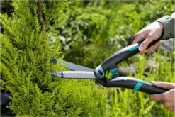 GARDENA PrecisionCut Buxusschaar - Meslengte 18 Cm - Vormsnoeien -Tuingereedschaps Winkel 1200x800 49