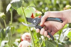 GARDENA Comfort B/M Bypass Snoeischaar - Ø 24mm - Met Sapgeul -Tuingereedschaps Winkel 1200x800 57