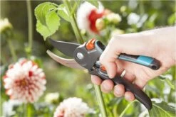 GARDENA Comfort B/M Bypass Snoeischaar - Ø 24mm - Met Sapgeul -Tuingereedschaps Winkel 1200x800 59