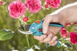 GARDENA - Classic B/S-M Bypass Snoeischaar - Ø 22mm - 25 Jaar Garantie -Tuingereedschaps Winkel 1200x800 66