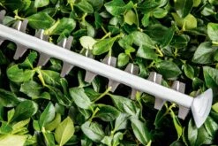 Bosch UniversalHedgeCut 60 Heggenschaar - Op Snoer - Lengte 60 Cm -Tuingereedschaps Winkel 1200x800 83