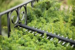 Bosch UniversalHedgeCut 18-55 Heggenschaar - Zonder 18V Accu En Oplader 16 Bosch UniversalHedgeCut 18-55 Heggenschaar - Zonder 18V Accu En Oplader -Tuingereedschaps Winkel 1200x800 91