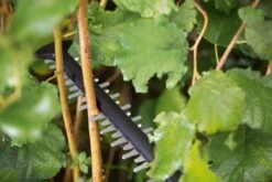 Bosch UniversalHedgeCut 18-55 Heggenschaar - Zonder 18V Accu En Oplader 19 Bosch UniversalHedgeCut 18-55 Heggenschaar - Zonder 18V Accu En Oplader -Tuingereedschaps Winkel 1200x800 94