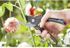 GARDENA Comfort B/M Bypass Snoeischaar - Ø 24mm - Met Sapgeul -Tuingereedschaps Winkel 1200x822 1