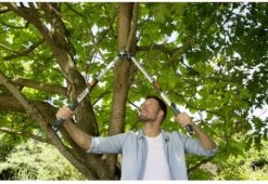 Gardena TeleCut Takkenschaar 650-900 B - Uitschuifbare Armen - Tot Max 90 Cm 20 Gardena TeleCut Takkenschaar 650-900 B - Uitschuifbare Armen - Tot Max 90 Cm -Tuingereedschaps Winkel 1200x826 1