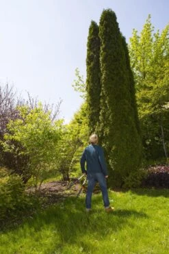 GARDENA TeleCut Heggenschaar - Telescopische Handgrepen Van 70-90 Cm -Tuingereedschaps Winkel 799x1200 17