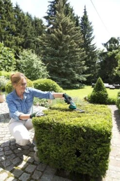 Bosch ISIO Gen III Accu Buxusschaar + Grasschaar -Tuingereedschaps Winkel 800x1200 12