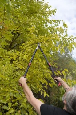 Kreator KRTGR4003 Telescopische Takkenschaar – Jong Hout - Knipdiameter: Ø34 Mm -Tuingereedschaps Winkel 800x1200 14