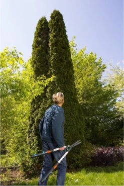 GARDENA TeleCut Heggenschaar - Telescopische Handgrepen Van 70-90 Cm -Tuingereedschaps Winkel 801x1200 3