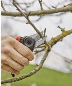 GARDENA - ExpertCut - Snoeischaar - 22 Diameter Tak -Tuingereedschaps Winkel 999x1200 1